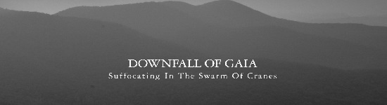 Downfall of Gaia: Suffocating in the Swarm of Cranes