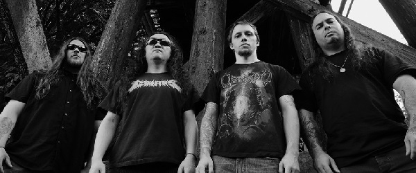 Omnihility-BandSlider