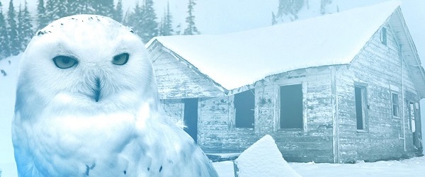 ViaVengeance-HarshConditionsSlider