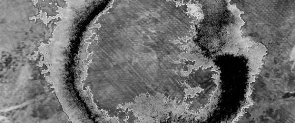 Hyponic-FormerMonkSlider