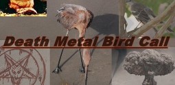 News – Avian Crossover Act Death Metal Bird Song Writing Debut Album News – Avian Crossover Act Death Metal Bird Song Writing Debut Album